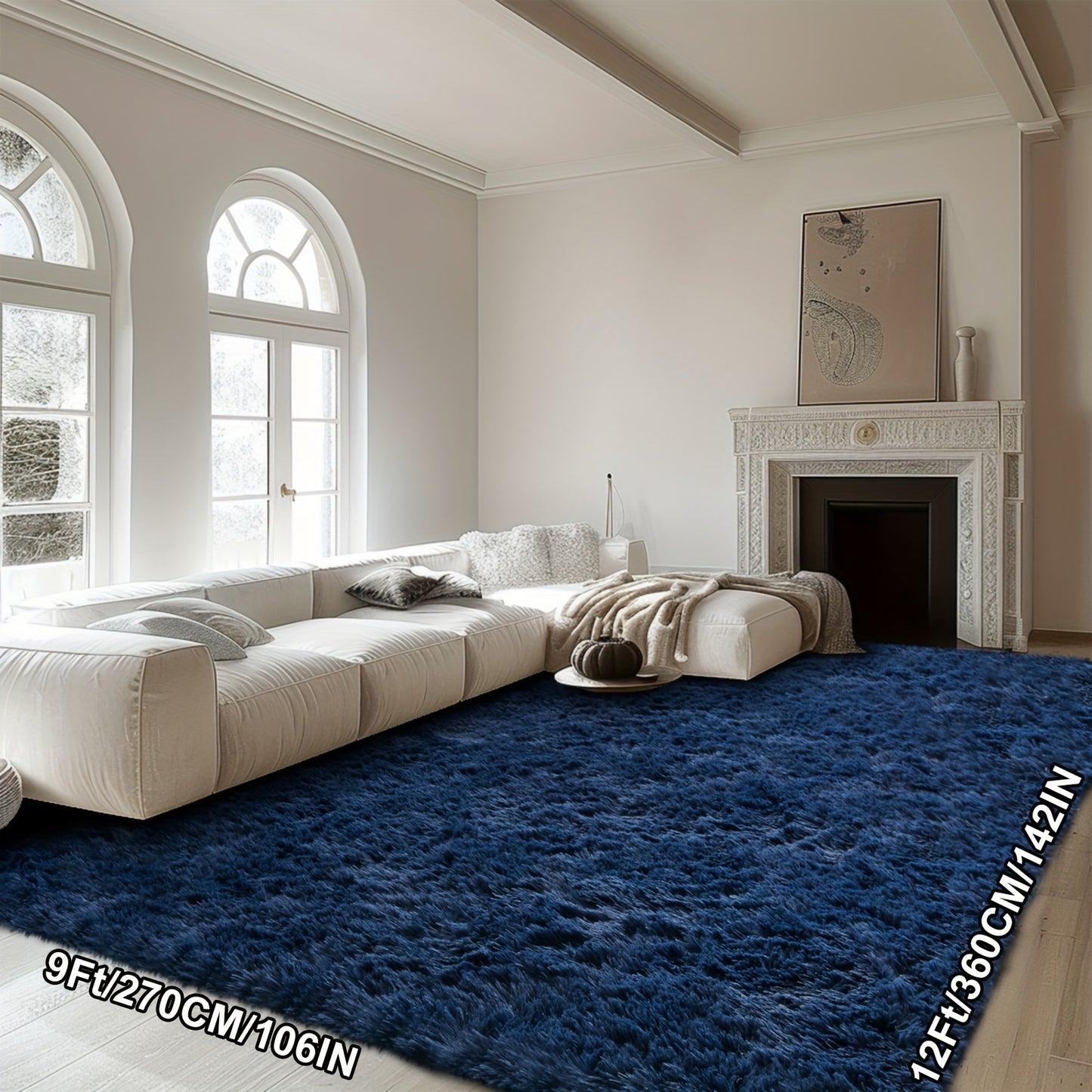 Super Soft Thickened Fluffy Area Rug