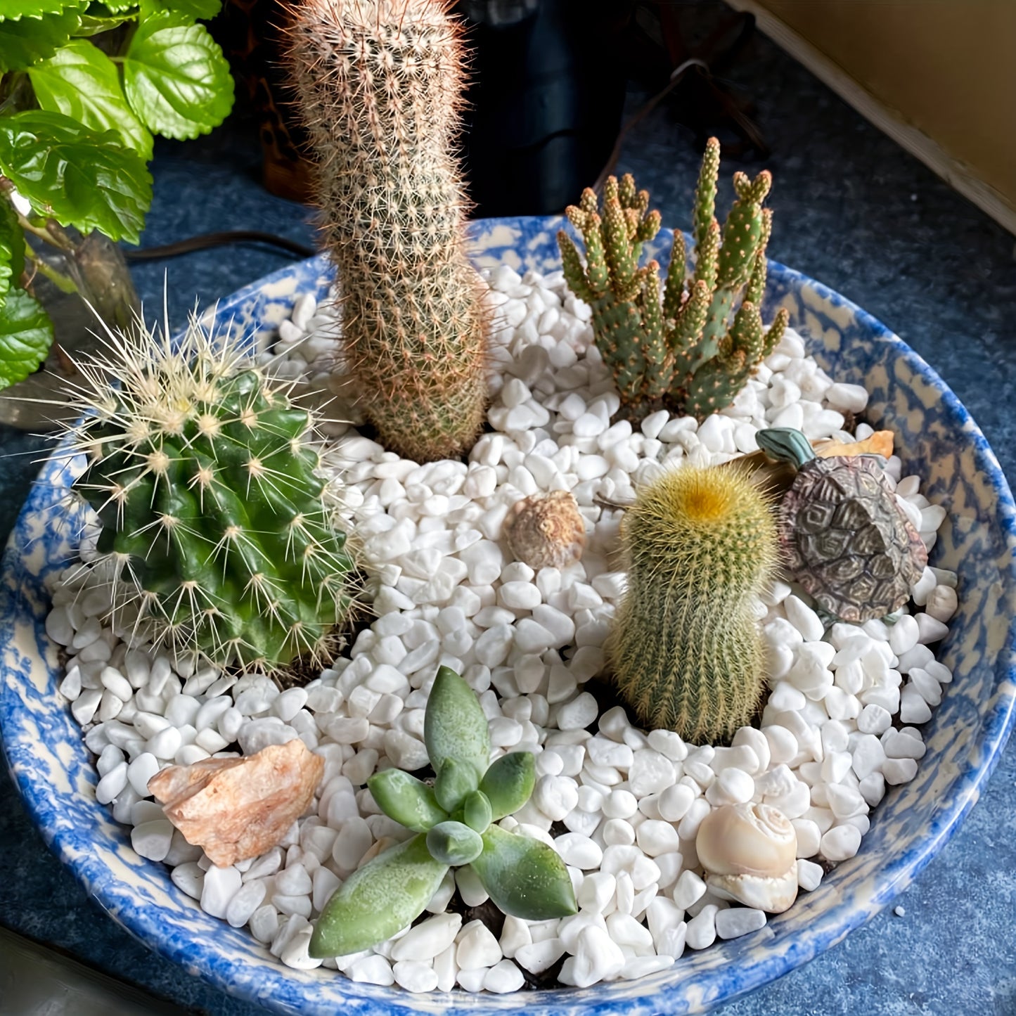 Nature River Rocks for Garden Vase Filler