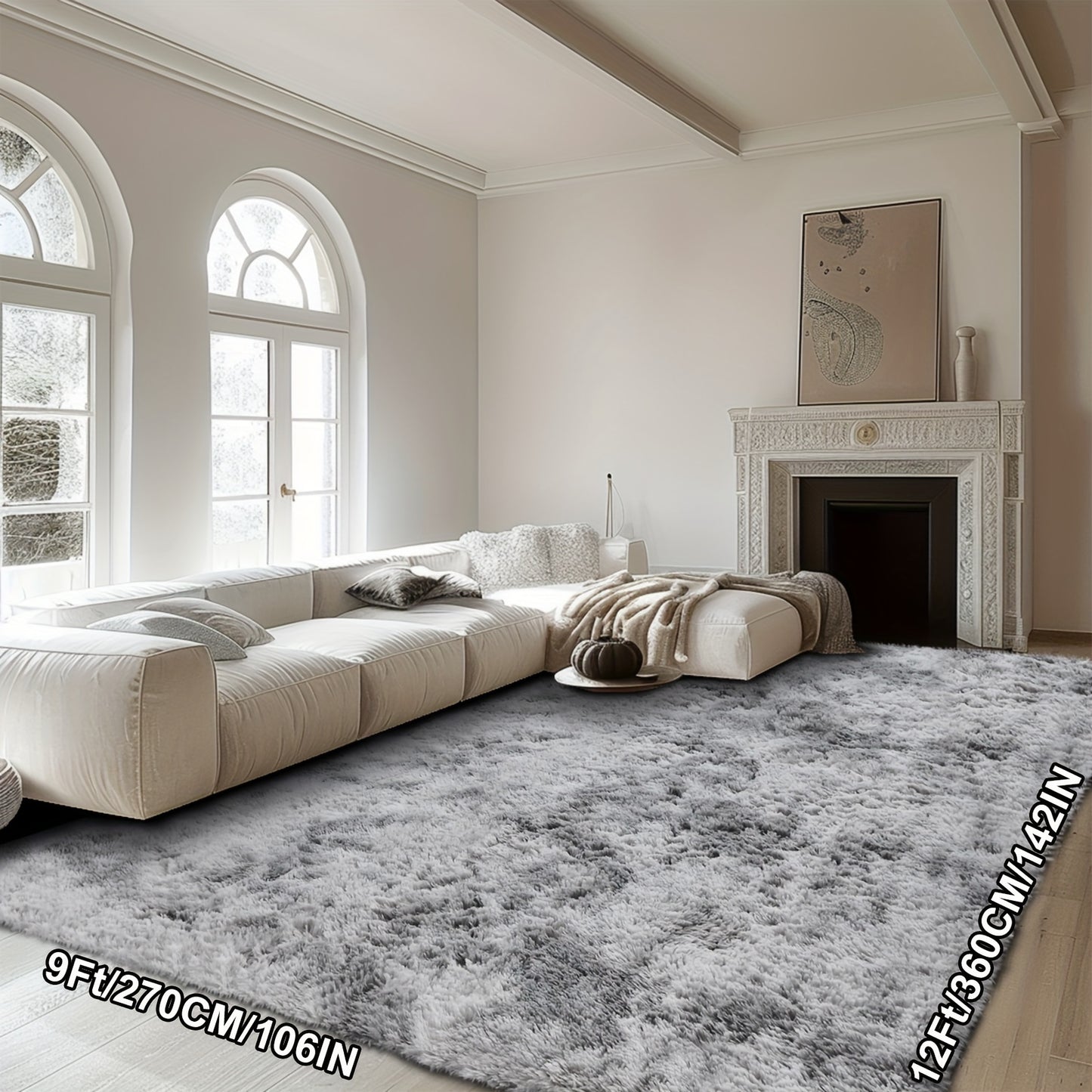 Super Soft Thickened Fluffy Area Rug