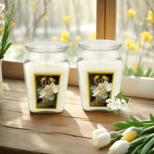 2pcs 18oz Glass Jar Aromatherapy Candle Set